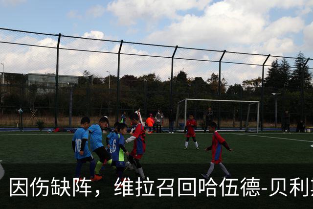 因伤缺阵，维拉召回哈伍德-贝利斯入欧冠名单